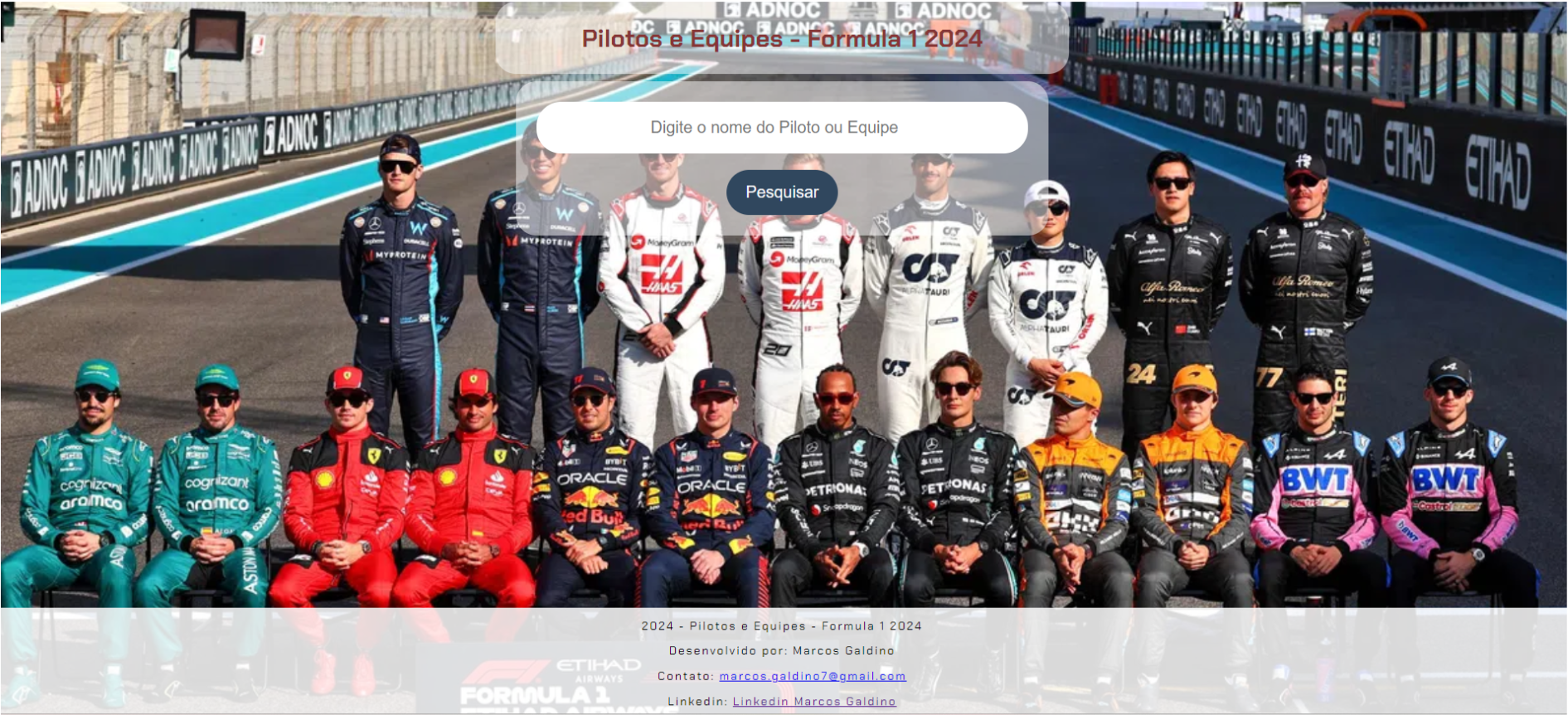 Imagem do Site com o Projeto
